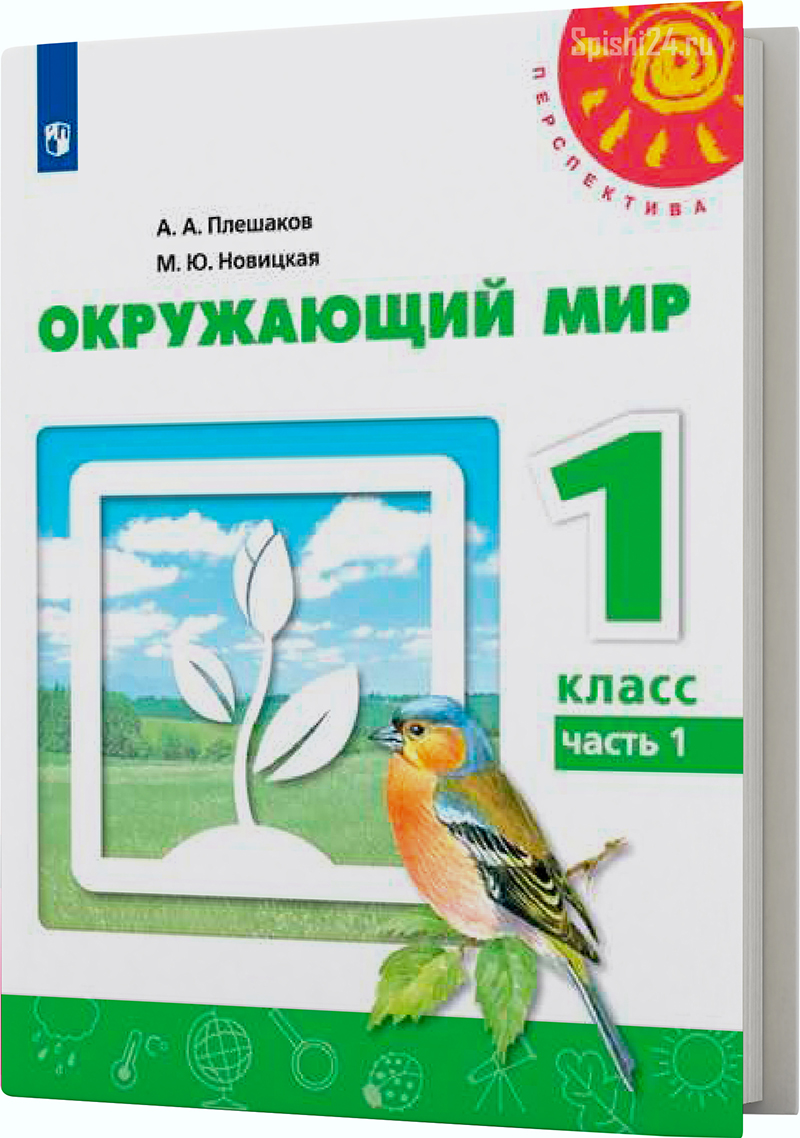 Плешаков А.А., Новицкая М.Ю. 1 класс 1 часть. Учебник